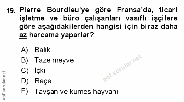 Soru 19