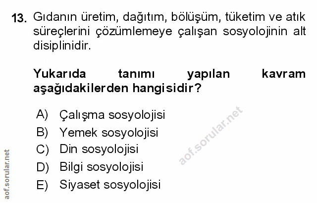 Soru 13