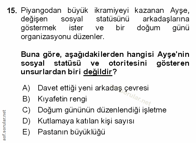 Soru 15