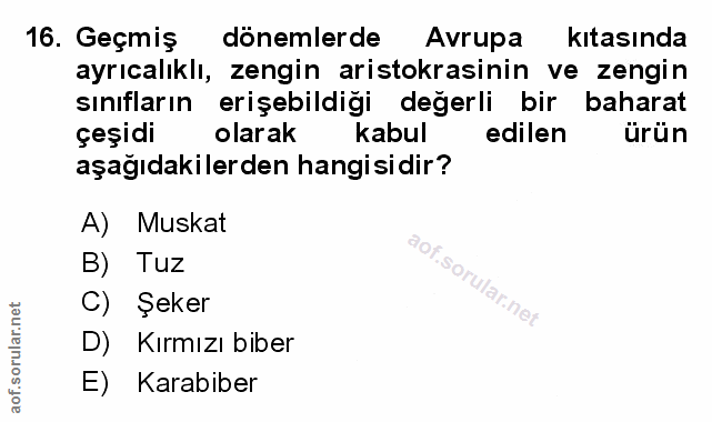 Soru 16