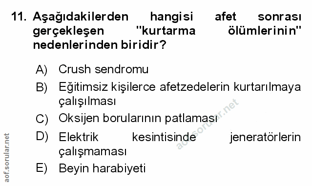 Soru 11