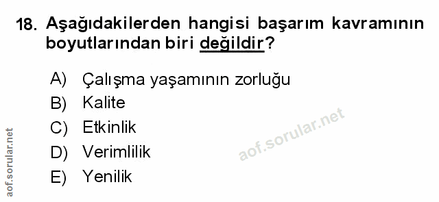 Soru 18