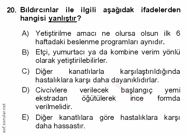 Soru 20