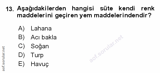 Soru 13