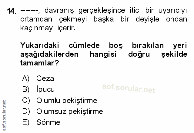 Soru 14