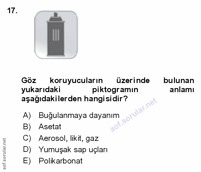Soru 17