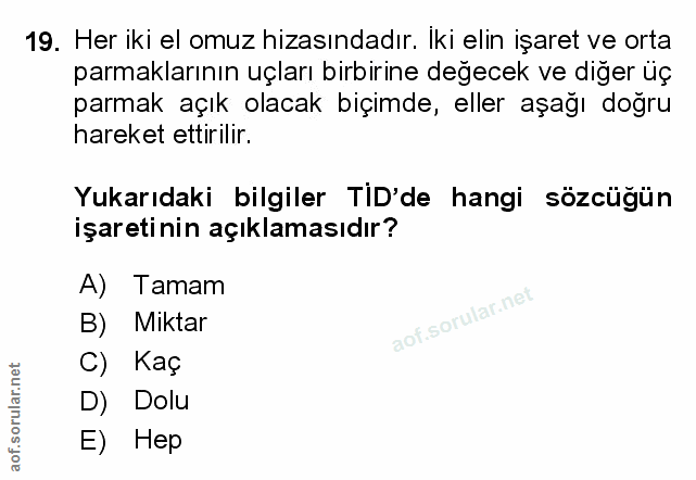 Soru 19