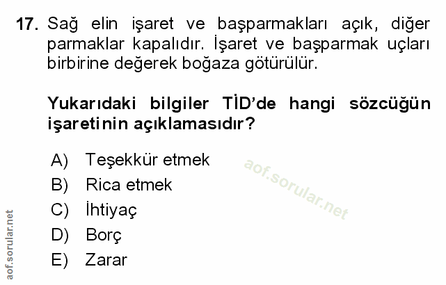 Soru 17