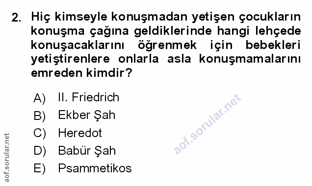 Soru 2