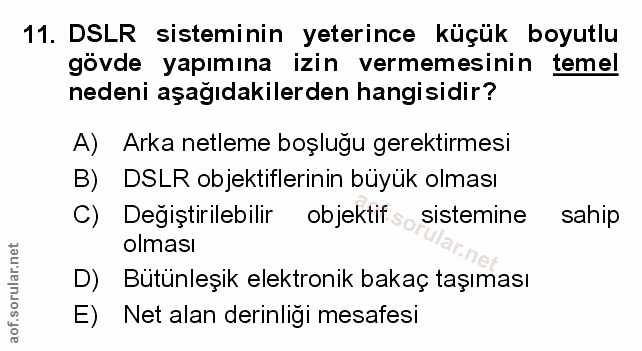 Soru 11