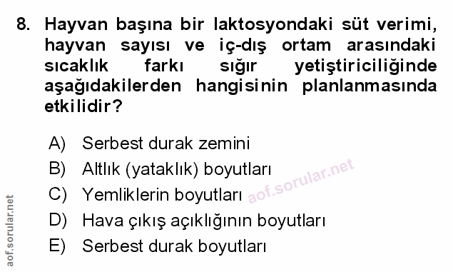 Soru 8