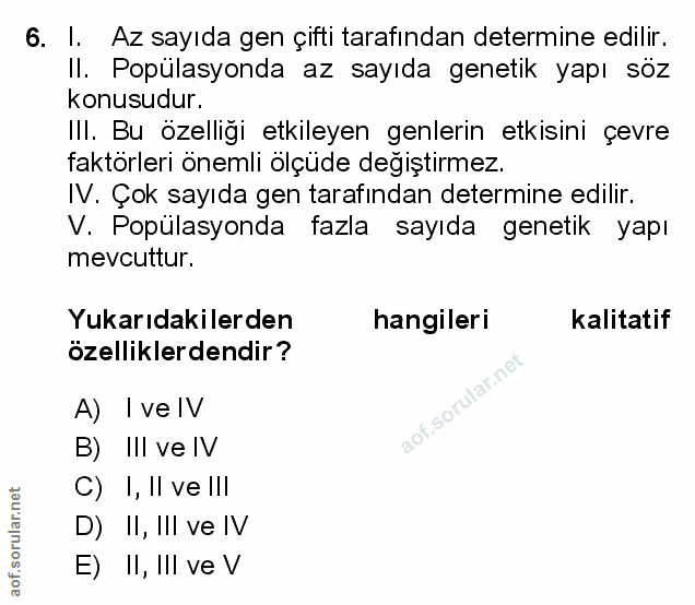 Soru 6