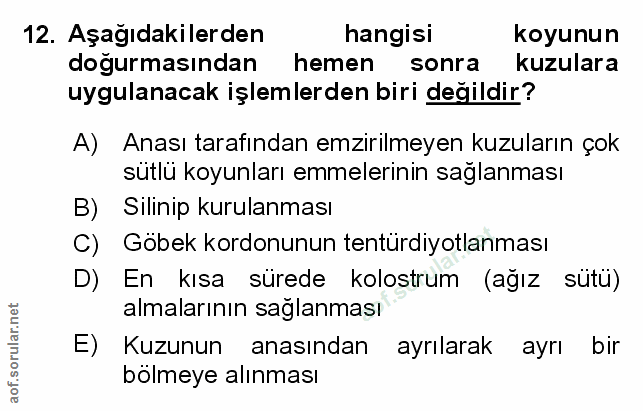 Soru 12