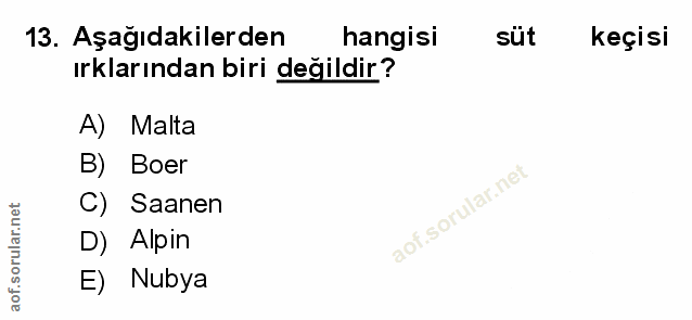 Soru 13
