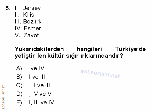 Soru 5