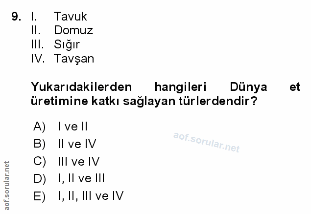 Soru 9