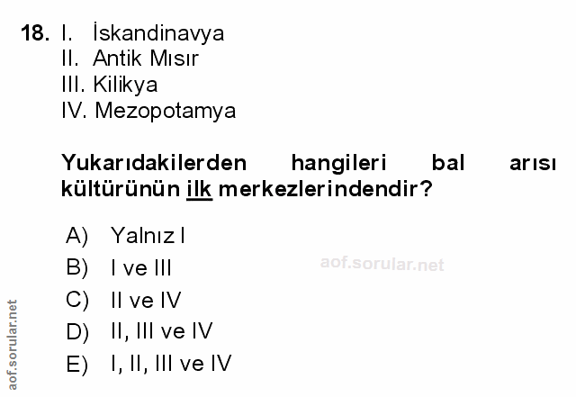 Soru 18