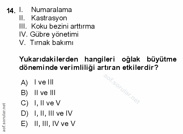 Soru 14