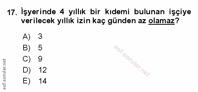 Soru 17