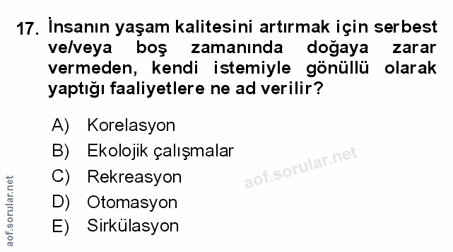 Soru 17