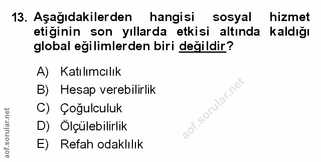 Soru 13