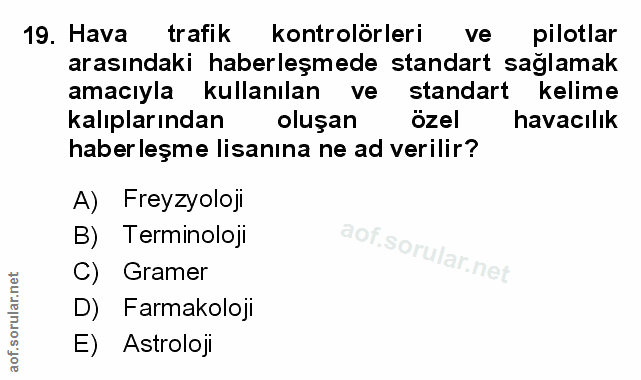 Soru 19