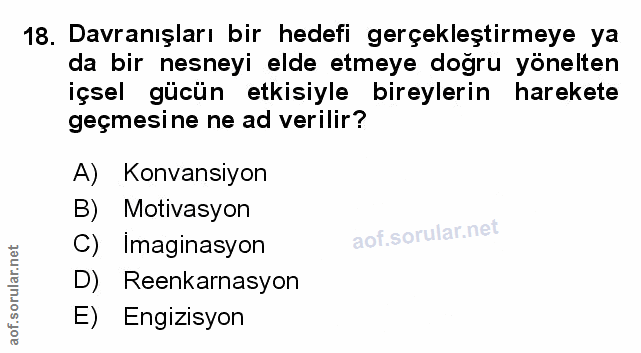 Soru 18