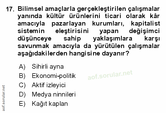 Soru 17