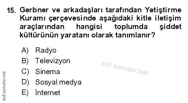 Soru 15