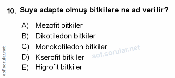 Soru 10