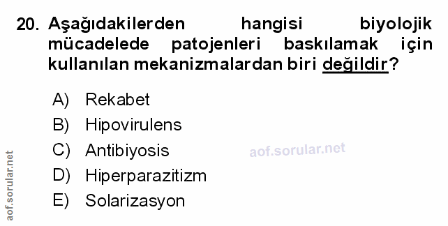 Soru 20