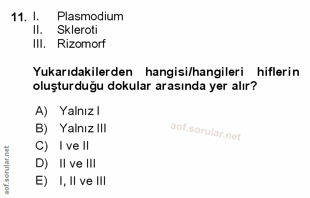 Soru 11