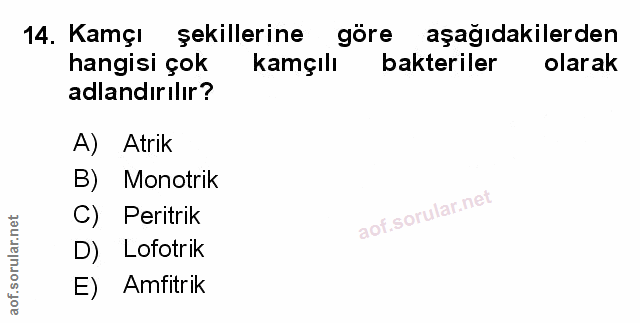 Soru 14