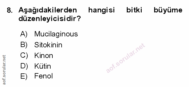 Soru 8