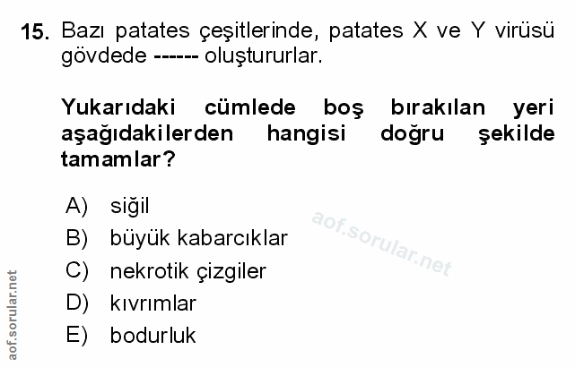Soru 15