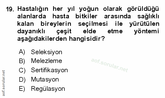 Soru 19