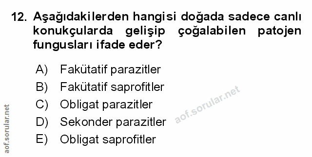 Soru 12