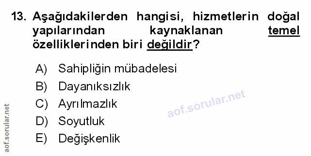 Soru 13