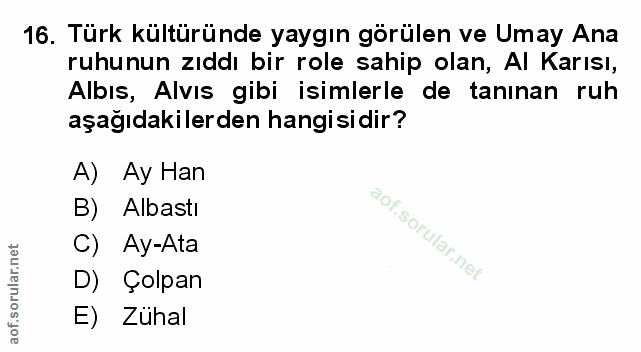 Soru 16