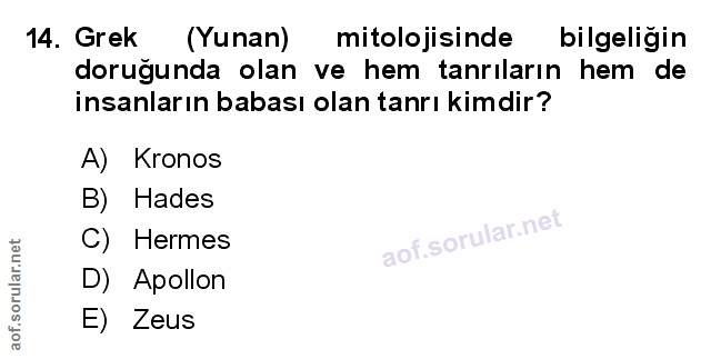 Soru 14