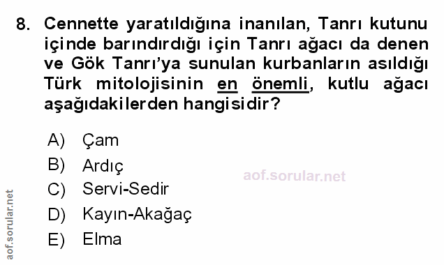 Soru 8