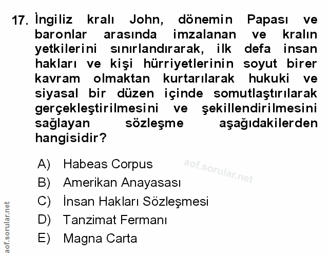 Soru 17