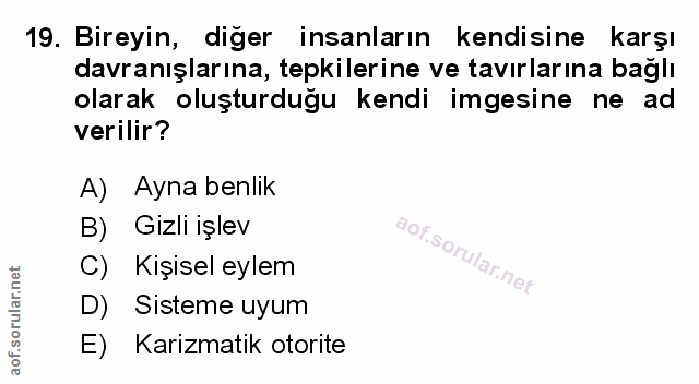 Soru 19