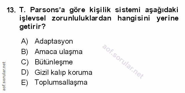 Soru 13