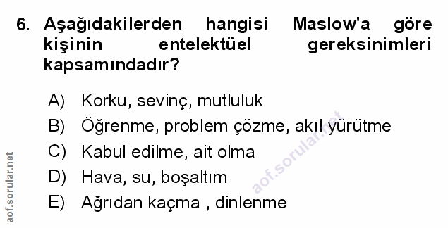 Soru 6