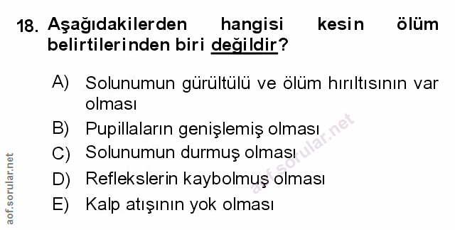 Soru 18