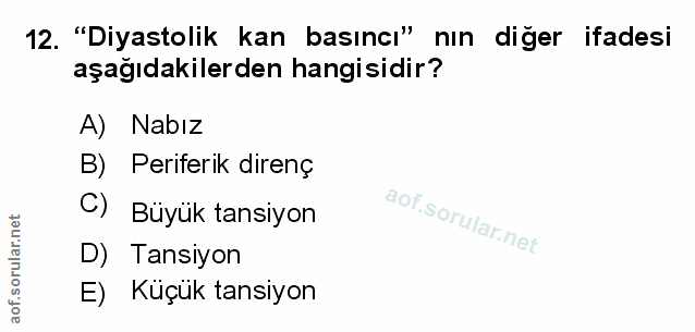 Soru 12
