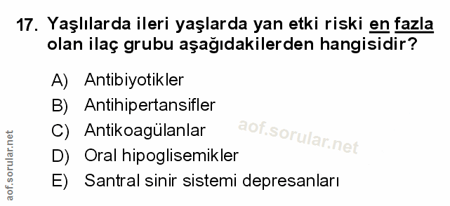 Soru 17