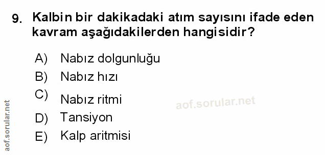 Soru 9