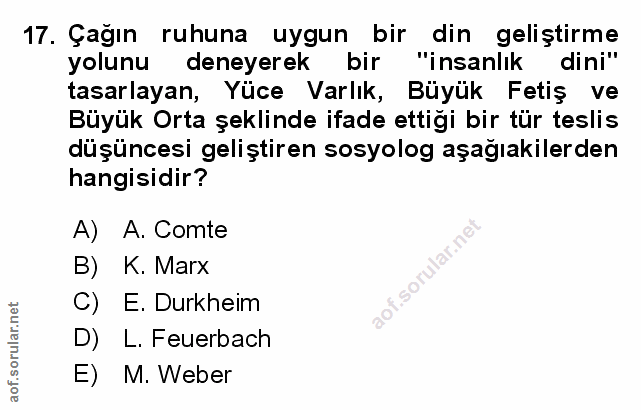 Soru 17